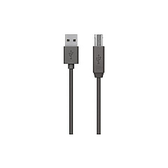 Belkin Cable,usb,dstp,usba/usbb,4.8m,device (F3U154BT4.8M)