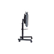 Chief Manufacturing 4- 6 Lfp Mobil Cart (PFCUS)