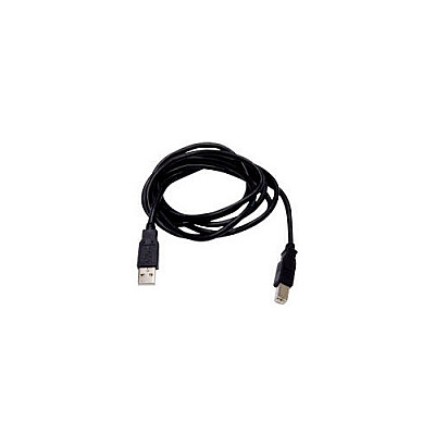 Digi International Digi 2 Meter A To B Usb Cable (301900007)