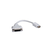 Tripp Lite Mini Dvi Dvi-d Adapter Video Cable M/f (P138000DVI)