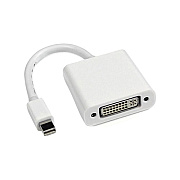 Axiom Mini Displayport To Dvi Adapter (MB570LL/BAX)