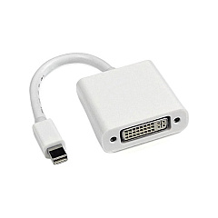 Axiom Mini Displayport To Dvi Adapter (MB570LL/BAX)