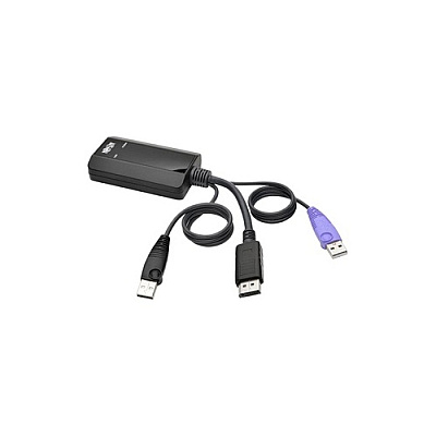 Tripp Lite Displayport Usb Server Interface B064s (B055001UDP)
