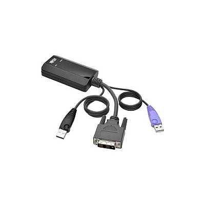Tripp Lite Dvi Usb Server Interface For B064 Kvms (B055001UDV)