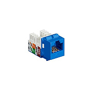 Black Box Cat6 Keystone Jack - Unshielded, 110 Punchdown Type, Taa, Blue, 25-pack, Gsa, Taa (FMT630R325PAK)