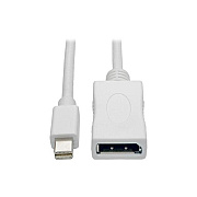 Tripp Lite 3ft Mdp To Displayport Adapter 4k M/f (P139003DPV2B)