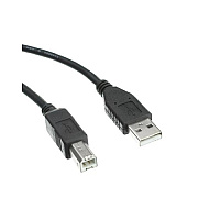 Axiom Usb 2.0-a To Usb-b Cable 10ft (USB2ABMM10AX)