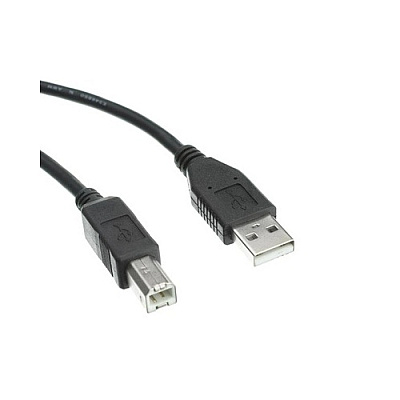 Axiom Usb 2.0-a To Usb-b Cable 10ft (USB2ABMM10AX)