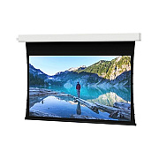 DA-Lite Screen Advantage Tnsd 119d Dm (84401LSI)