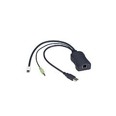 Black Box Series Server Access Module - Mini Displayport, Usb, Audio, Catx (KV1409A)