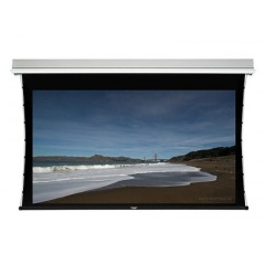 Monoprice White Fabric Ceiling Motorzd Proj Screen (7951)