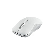 Verbatim Wireless Notebook Optical Mouse (VER99768)