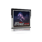Edge Memory Freetail Evoke 256gb 3700x Cfast2.0 Card (FTCF256A37)