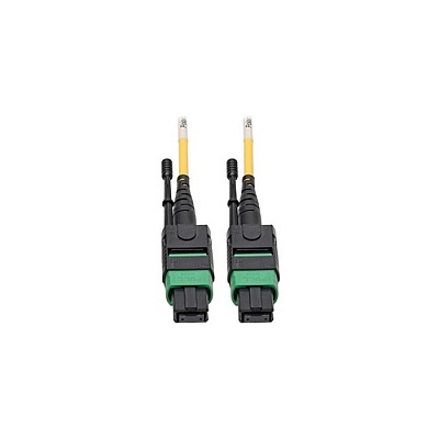 Tripp Lite Mtp/mpo (apc) Smf Fiber Patch Cable (N39002M12AP)