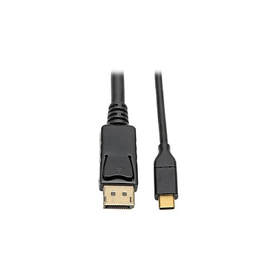 Tripp Lite Usb C To Displayport 4k Adapter 10ft (U444010DP)