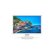 NEC 24 Monitor (white) (PA243W)