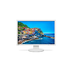 NEC 24 Monitor (white) (PA243W)