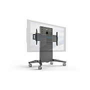 Salamander Designs Xl- Mobile Stand, Fixed Height (FPS1XL/FH/GG)