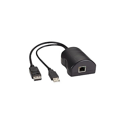 Black Box Server Access Module - Displayport + Usb (DCX3000DPT)