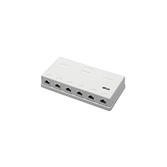 Tripp Lite Cat6 Surface-mount Box 6-port 110 Idc (N236006WH)