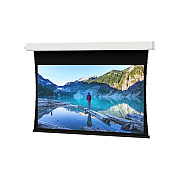 DA-Lite Screen Advantage Tnsd 133d Dm (84402LSI)