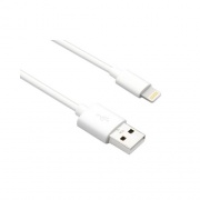 Axiom Lightning To Usb Adapter Cable 3ft (LGMUSBAMW03AX)