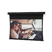 DA-Lite Screen Professional Tnsd 298d Dv (35283)