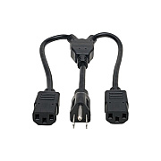 Tripp Lite C14 To C13 Splitter M2xf 10a 18in (P00418N2C13)