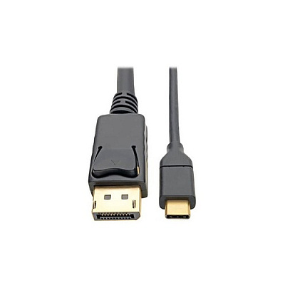 Tripp Lite Usb C To Displayport 4k Adapter M/m 6ft (U444006DP)