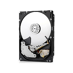 HGST 6000gb Sas Ultra 512e Tcg P3 7k6 (0B36049)