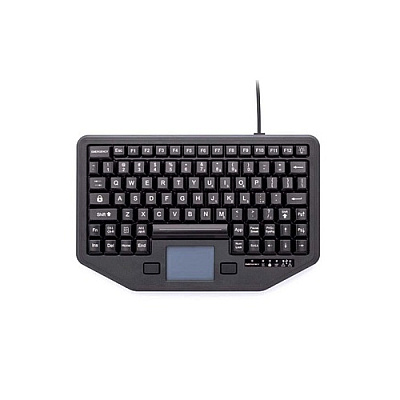 Panasonic Backlit Keyboard With Integrated (IK88TPUSBP)