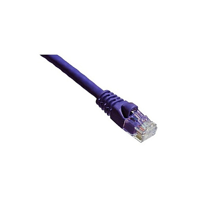 Axiom 1ft Cat6a Cable (purple) - Taa (AXG95866)