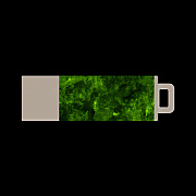 Centon Electronics Centon Usb 2.0 Datastick Pro2 (marble-ra (S0U2T3016G)