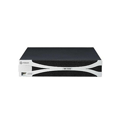 Rittal Dual 5400-2gb Chassis,6000 Sessions Rtu (SBC5400PK26KHA)