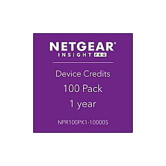 NETGEAR Insight Pro 100 Pack 1 Year (NPR100PK110000S)