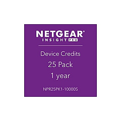 NETGEAR Insight Pro 25 Pack 1 Year (NPR25PK110000S)