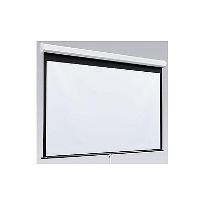 Draper Luma 2 Manual Projection Screen 8x10 (206009)