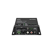 SIIG Mini Digital Amplifier (CEAU0011S1)