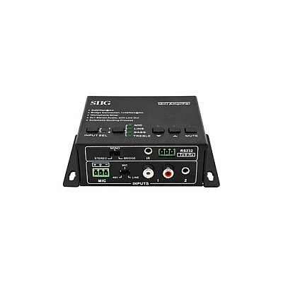 SIIG Mini Digital Amplifier (CEAU0011S1)