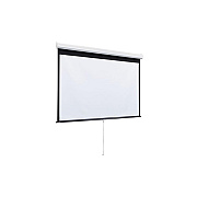 Draper Luma 2 Manual Projection Screen 60x60 (206002)