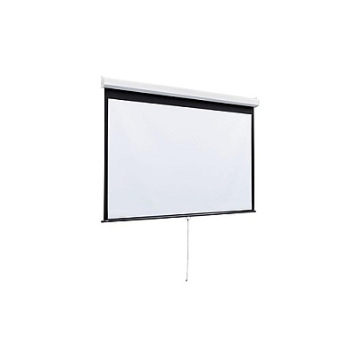 Draper Luma 2 Manual Projection Screen 60x60 (206002)