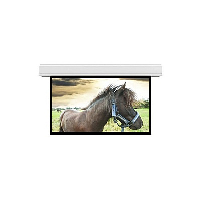 DA-Lite Screen Advantage 22x22 Mw (36992L)