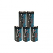Pyramid Lithium Battery 5 Pack (422245)