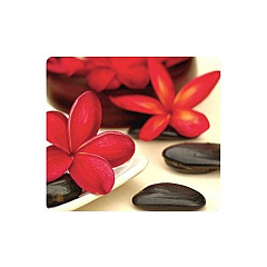 Fellowes Recycled Optical Mousepad - Spa (5904601)
