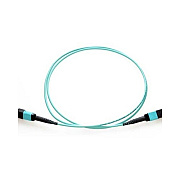Axiom 0.5m - Mpo Female/mpo Female Multimode (MPOFFOM30.5MAX)
