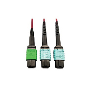 Tripp Lite Fiber Mtp/mpo-apc X2 12f Mtp/mpo-upc 1m (N846D01M16DMG)