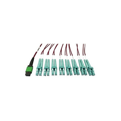 Tripp Lite Mmf Fiber B/o 16f Mtp/mpo-apc X8 Lc 1m (N846D01M16EMG)