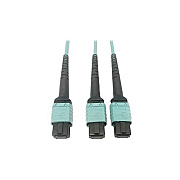 Tripp Lite Fiber 24f Mtp/mpo-pcx2 12f Mtp/mpo-pc 1m (N846D01M24BAQ)