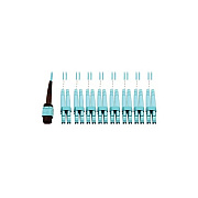 Tripp Lite Mmf Fiber B/o 24f Mtp/mpo-pcx8 Lc F/m 1m (N846D01M24CAQ)