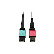 Tripp Lite Fiber 24f Mtp/mpoupc 16f Mtp/mpoupc 1m (N846D01M24DAQ)